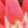 Цветок лотоса3: предпросмотр