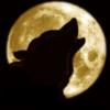 Схема вышивки «Волк лунной ночью»