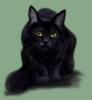 Черный кот: оригинал