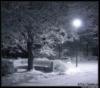 Зимняя ночь: оригинал