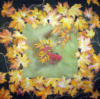 Схема вышивки «Подушка 16 Осенние листья»