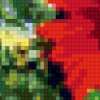 Красный цветок и мимоза: предпросмотр