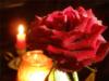 Роза и свеча: оригинал