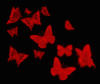 красные бабочки: оригинал