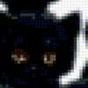 Шесть чёрненьких котят: предпросмотр