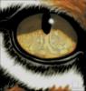 Схема вышивки «Тигровый глаз»