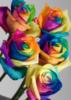 Схема вышивки «Радуга в цветах»