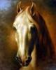 Схема вышивки «Голова белой лошади»