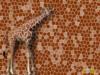 Мозайка жираф: оригинал