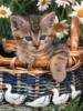 Схема вышивки «Котёнок в корзинке с утятами»