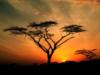 Африканский закат: оригинал