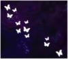 Ночные бабочки: оригинал