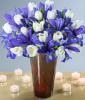 Схема вышивки «Белые тюльпаны и фиолетовые ири»