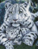 Схема вышивки «Белая тигрица и тигренок »