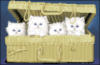 Схема вышивки «Котята2»