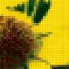 Жёлтые цветы: предпросмотр