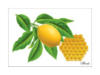 Схема вышивки «Лимон и мед»