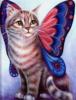 Схема вышивки «И кот, и бабочка»