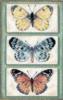 Схема вышивки «Трио бабочек»