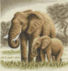 Схема вышивки «Слонёнок с мамой»