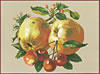 Схема вышивки «Яблоки и вишни»