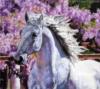 Схема вышивки «Сиреневый конь»