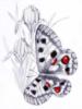 Схема вышивки «Ирисы и бабочка»