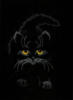 Черный кот-: оригинал