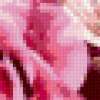 Подушка "Розовый рай": предпросмотр