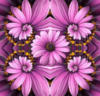 Схема вышивки «Коллаж из цветов»