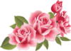 Схема вышивки «Розовая прелесть»