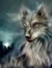 Схема вышивки «Серый Волк»