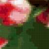 Букет тюльпанов: предпросмотр