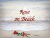 Схема вышивки «Rose on Beach»