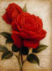 Схема вышивки «Розы на орнаменте 2»