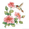 Схема вышивки «Колибри у розы»