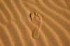 Foot in the desert: оригинал
