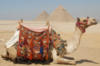 Схема вышивки «Camel and Pyramids»