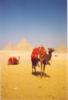 Схема вышивки «Camels and Pyramids»