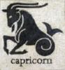 Схема вышивки «CAPRICORN ( КОЗЕРОГ)»