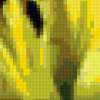 Желтая лилия: предпросмотр