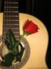 Схема вышивки «Гитара с розой»
