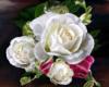 Схема вышивки «White Roses»