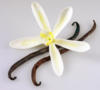 Схема вышивки «Vanilla pods and Flower»