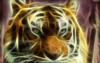 Схема вышивки «Солнечный Тигруша»