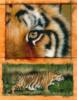 Схема вышивки «Tiger - Diptych»
