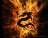 Схема вышивки «Огненный дракон»