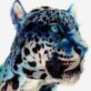 Blue Leopard (Pencil Drawing): оригинал