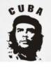 Схема вышивки «Che »