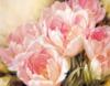 Схема вышивки «Розовые тюльпаны №2»